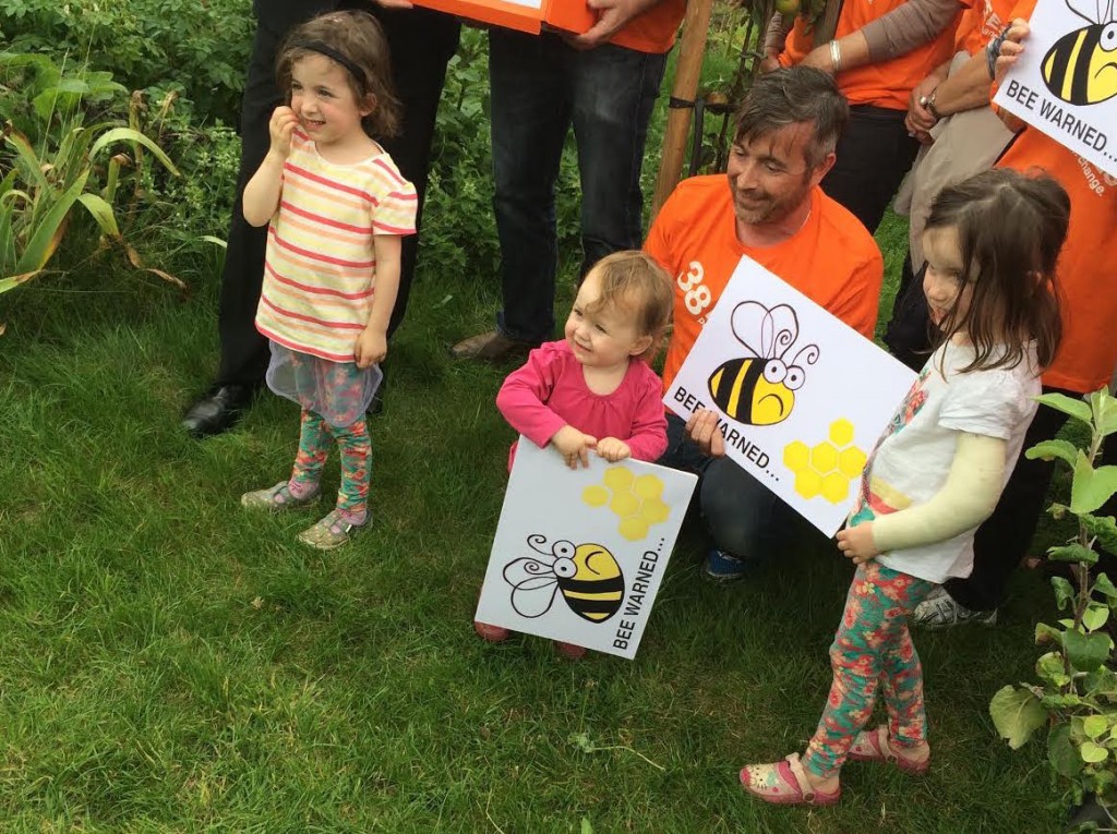 Bees-cambridge-kids-2