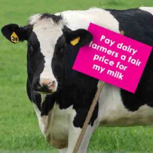 cowprotestt