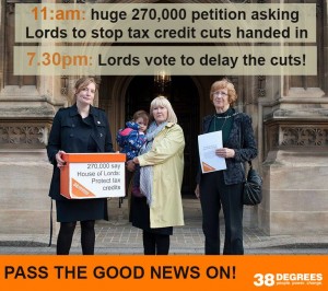 Lords tax credits