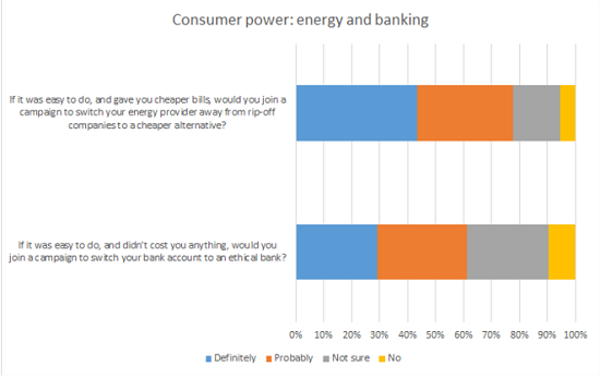 consumer power