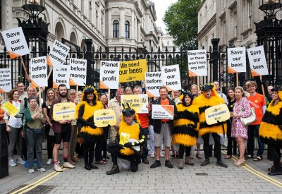 19310698658_7e1f429615_z