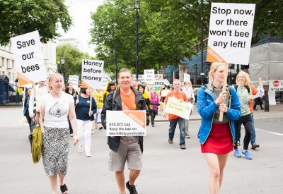 Save our bees petition hand in