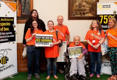 Blog post featured image bees