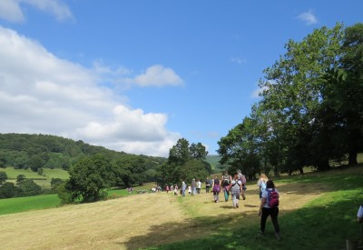 More than 50 participants