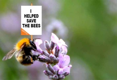 save the bees share image