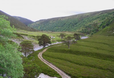 Scottish hillside. Picture: Gavindeas