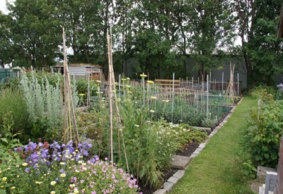 Telferton Allotment
