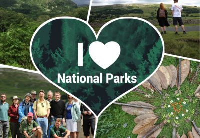 member montage final