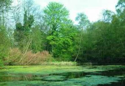 rs4574_cs_lewis_jim_asher_01