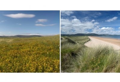 Composite_photograph_7