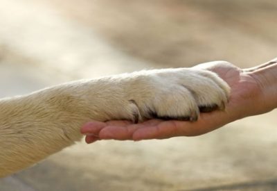 Screenshot_20171119-190544