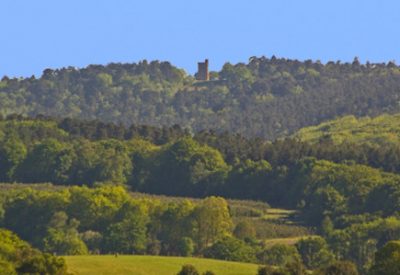 leith_hill_petition_image