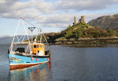 shutterstock_5182915