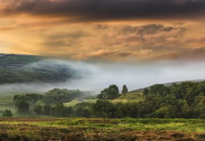 shutterstock_155944919