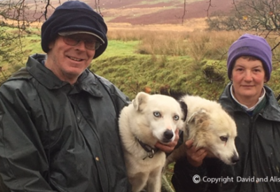 david_and_alison_telfer