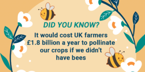 DID YOU KNOW? It would cost UK farmers £1.8 billion a year to pollinate our crops if we didn’t have bees