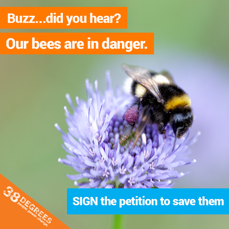 Bees-petition