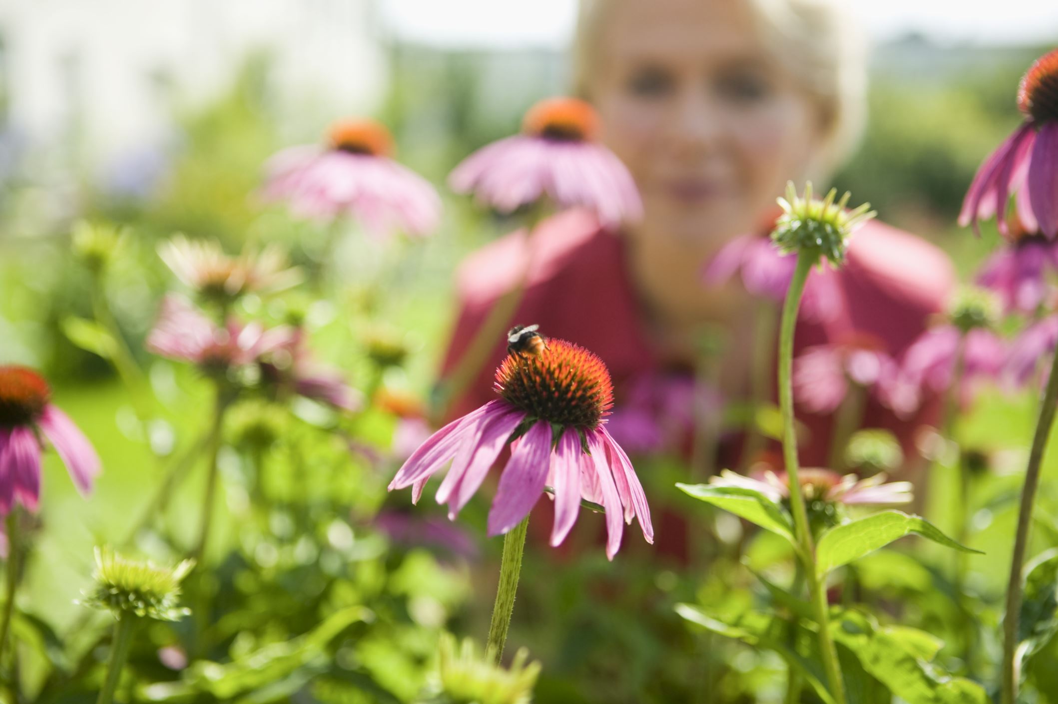 A woman looking at a bee on a flower